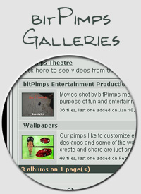 bitPimps Galleries