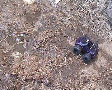 hmm, bit muddy. But nothen my bug cant get accros
