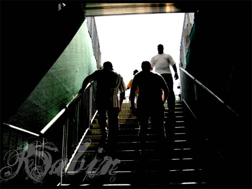 To the stands
Stairs to the stands at the awe inspiring oval
